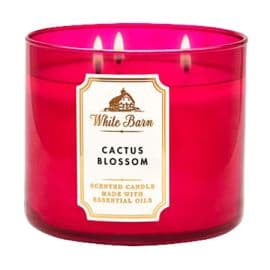 Cactus Blossom 3 Wick Scented Candle - 411GM
