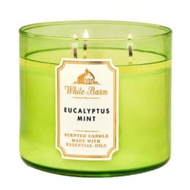 Eucalyptus Mint 3 Wick Scented Candle - 411GM