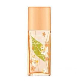 Green Tea Nectarine Blossom Eau De Toilette - 100ML - Women