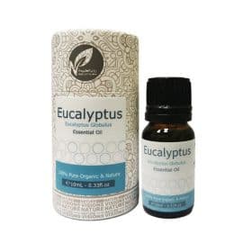 Eucalyptus Essential Oil - 10ML