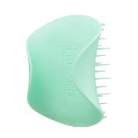 Scalp Hair Brush - Mint 