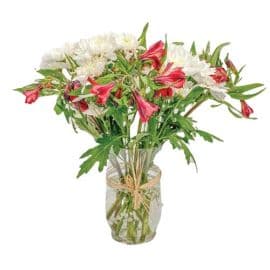 ALSTROEMERIA Bouquet 5 Stems with chrysanthemums & gypsophila