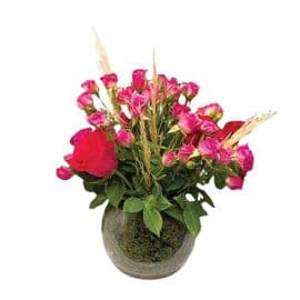 A bouquet of approximately 20 roses between fuchsia baby spray roses and red roses