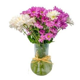 Bouquet of chrysanthemums in Mixed colors (white and fuchsia)