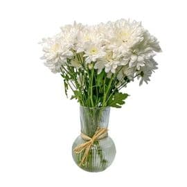 Bouquet of 10 white tulips