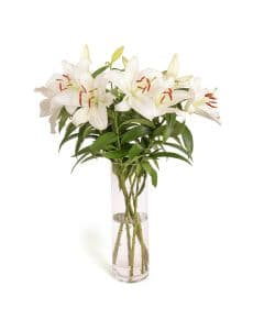 White Lilies With Vase