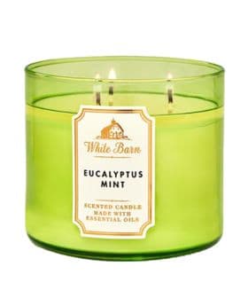 Eucalyptus Mint 3 Wick Scented Candle - 411GM