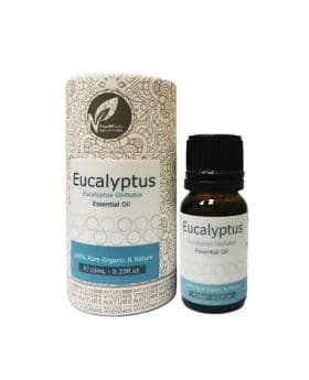 Eucalyptus Essential Oil - 10ML