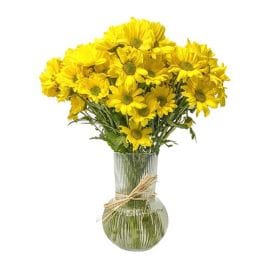 A Bouquet Of 10 STEMS YELLOW CHRYSANTEN