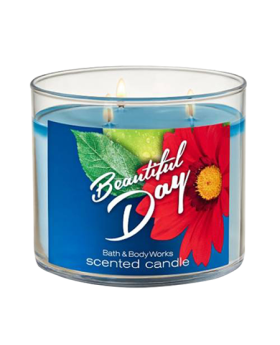 Beautiful Day 3 Wick Scented Candle - 411GM