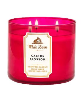 Cactus Blossom 3 Wick Scented Candle - 411GM