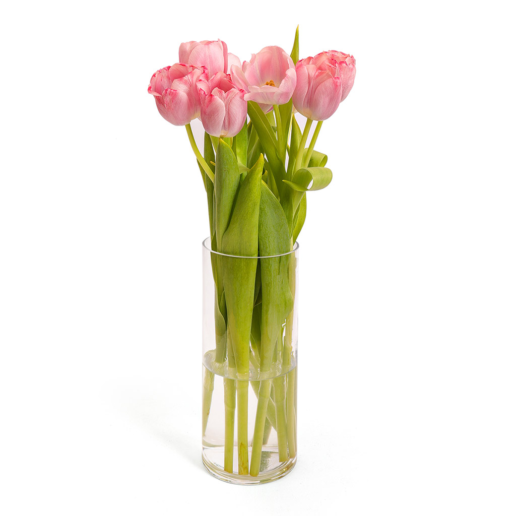 Pink Tulips With Vase   